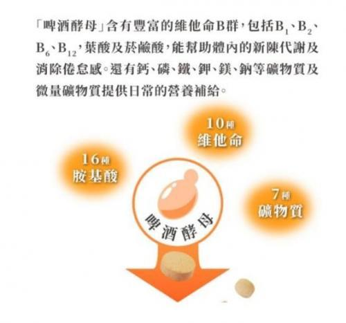 若元製藥Wakamoto健胃整腸益生菌顆粒 24包/盒:圖片 3